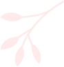 elements set of natural and floral elements GXCUB pink