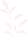 elements set of natural and floral elements GXCUB services