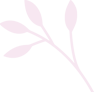 elements set of natural and floral elements GXCUB violet